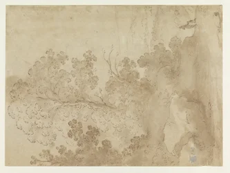 Paisagem montanhosa com árvores