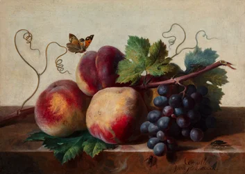 Natureza morta de pêssegos e uvas numa mesa de mármore com uma borboleta e outros insectos