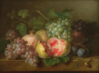 Ainda vida de romãs, uvas e ameixas em uma borda de mármore (painel)