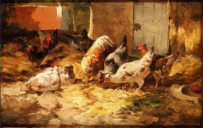 Galinhas em um celeiro (uma de um par)