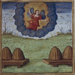 Ilustração para os georgianos por Virgil, 1450-1499