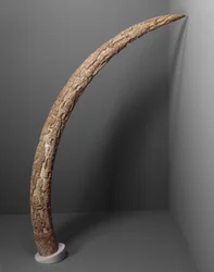 Ambas as presas do altar, 1850-88