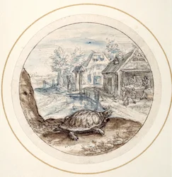 Tartaruga, início do século XVII (caneta e tinta castanha com lavagens castanhas e azuis)