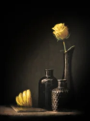 Rosa e Limão Elegantes