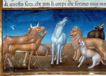 O fim do mundo: E as estrelas cairão do céu e os animais terão medo (c.149v). 1476