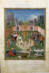 Influência de Vénus: o jardim do amor e a fonte da Juventude (miniatura, c.1470)