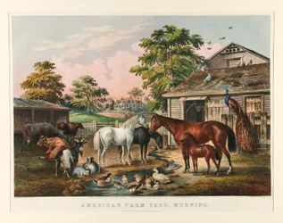 American Farm Yard - Manhã