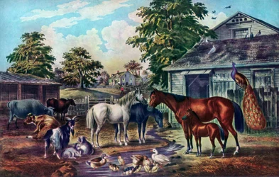 American Farm Yard pela manhã, 1857