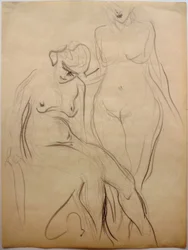 Dois nus femininos