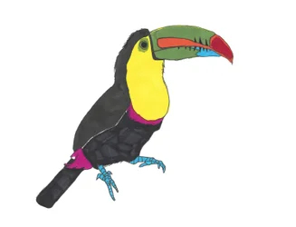Tucano, 2024 (caneta sobre papel com photoshop)