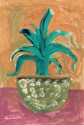 Vasos Cactus