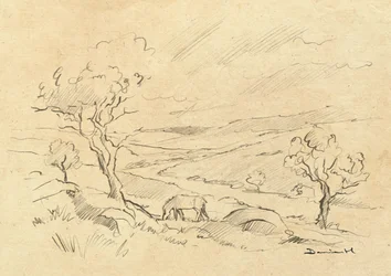 Pónei de Dartmoor