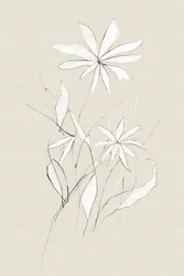 Flor da Quinta