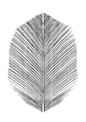 Pena