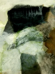 Selva