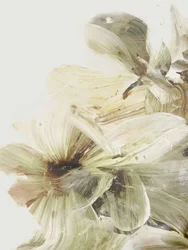 Flores da Colina 1