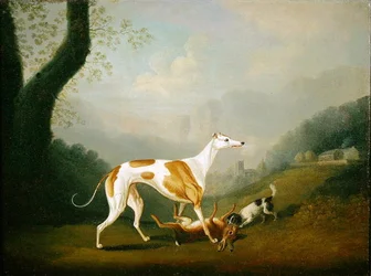 Greyhound com um Spaniel Puppy e Dead Hare (óleo sobre tela)