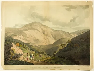 Vale de Sandy Bay, Santa Helena