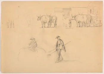 Desenho, Curral; figuras e bois, 1878