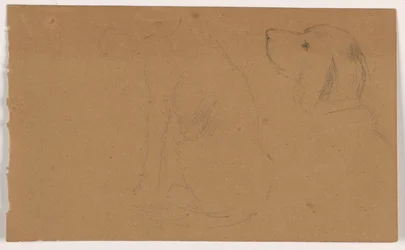 Desenho, Dash (um Setter), cabeça e corpo, ca. 1862