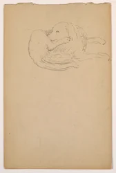 Desenho, Dash (um Setter), ca. 1862