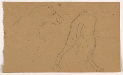 Desenho, Milo (um Pointer), cabeça e corpo, ca. 1862