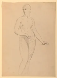 Desenho, Sra. Henry Schieffelin, S, 1881