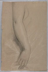 Desenho, Sra. Rutherford B Hayes, 1880