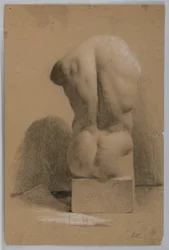Torso masculino de gesso