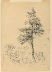 Estudo de Hemlock, Gorham, New Hampshire