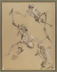 Estudo de esqueletos, 1848 (giz no papel)
