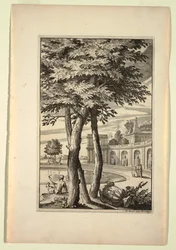 Placa no Novo Livro de Paisagens