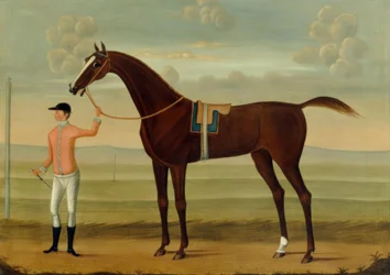 Um cavalo de corrida da baía com seu jóquei em uma pista de corridas