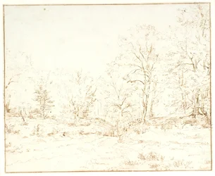 Uma estrada da floresta