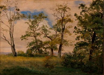 Paisagem com árvores isoladas