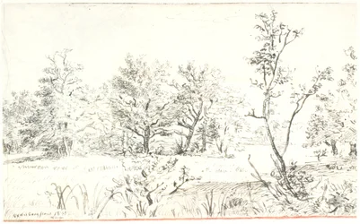 Paisagem com floresta e prado