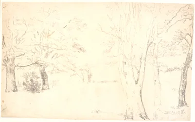 Paisagem com árvores espalhadas