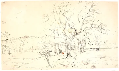 paisagem com árvores