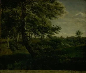 Floresta Ørsbjerg em Aarup, Funen