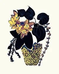 Plantas elegantes em vasos