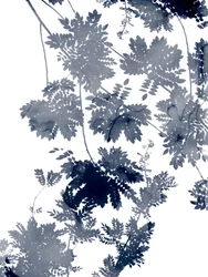 Ecologia Profunda 1 Bluegrey