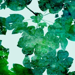 Folhas verdes em camadas