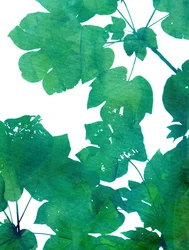 Folhas verdes vibrantes