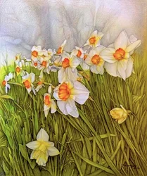 Narcisos dançantes, 2020 (lápis sobre papel)