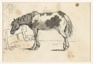 Um cavalo em pé e um cão reclinável