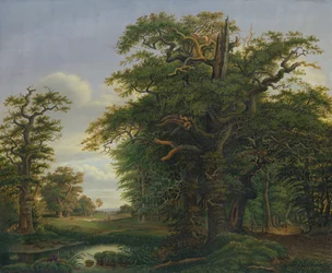Madeira de Carvalho, 1847