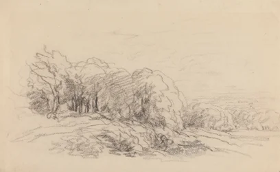 Paisagem com Árvores