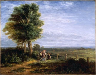 Skylark, 1849