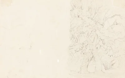 Árvores [verso]