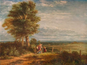 Skylark, 1849